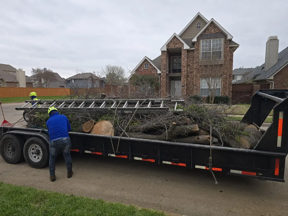Expert Tree Removal with proper safety equipment in Roaring Spring